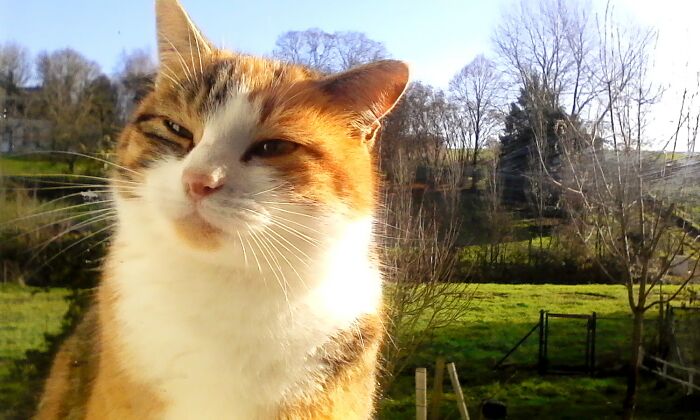 Hi Pandas, Post A Cute Animal Picture That Made You Smile (Closed)