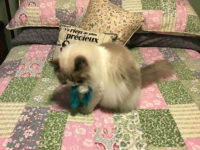 Hi Pandas, Post A Cute Animal Picture That Made You Smile (Closed)