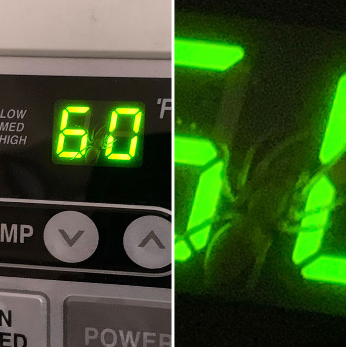 35 Spiders That Are Extra Scary Because Of Where They Were Found 35 Spiders That Are Extra Scary Because Of Where They Were Found