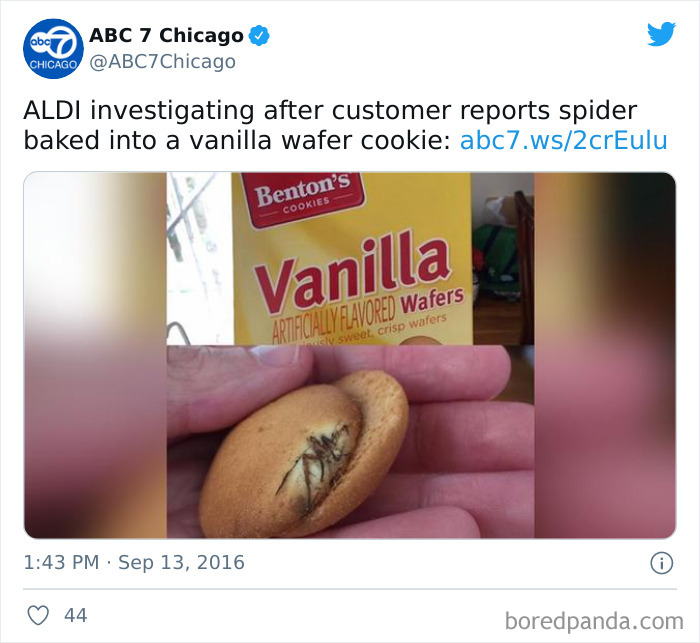 35 Spiders That Are Extra Scary Because Of Where They Were Found 35 Spiders That Are Extra Scary Because Of Where They Were Found