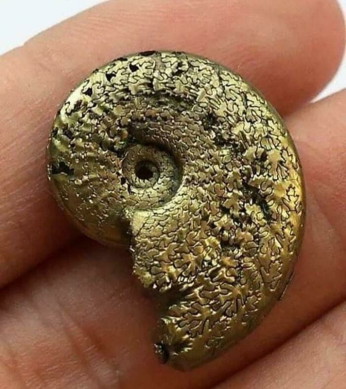 50 Times People Found The Most Unexpected Things (New Pics) 50 Times People Found The Most Unexpected Things (New Pics)