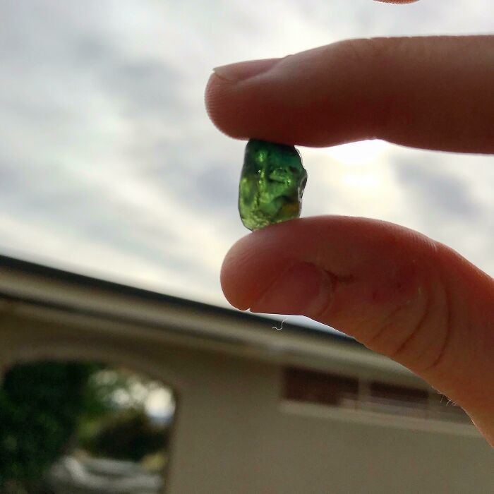 50 Times People Found The Most Unexpected Things (New Pics) 50 Times People Found The Most Unexpected Things (New Pics)