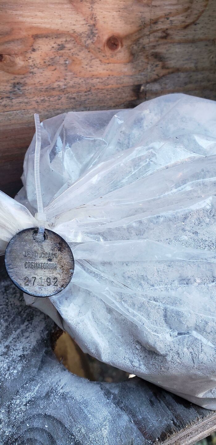 50 Times People Found The Most Unexpected Things (New Pics) 50 Times People Found The Most Unexpected Things (New Pics)