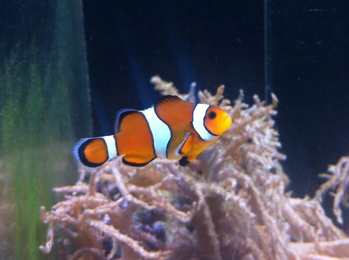 30 Business Decisions That Ended Up Hurting Companies, As Shared In This Online Group 30 Business Decisions That Ended Up Hurting Companies, As Shared In This Online Group