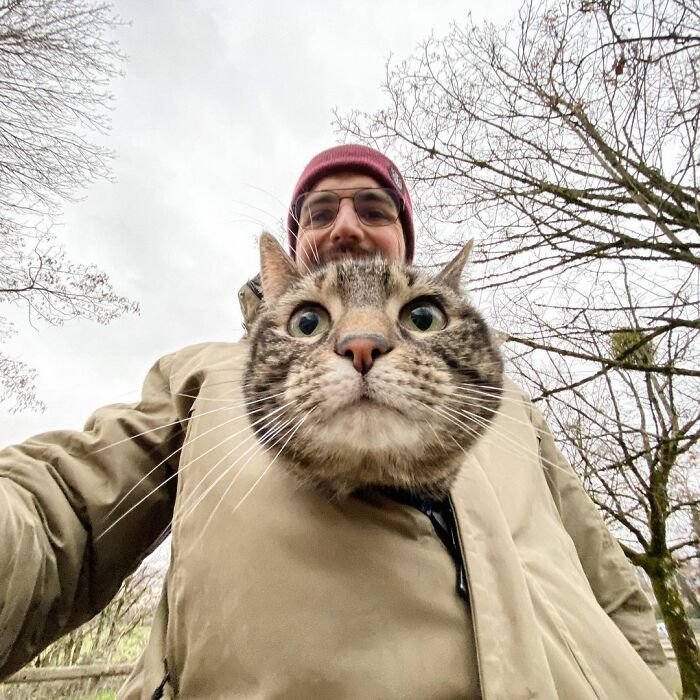 Owner Brings His Cat Everywhere And They Go On All Kinds Of Crazy Adventures Together (30 Pics)