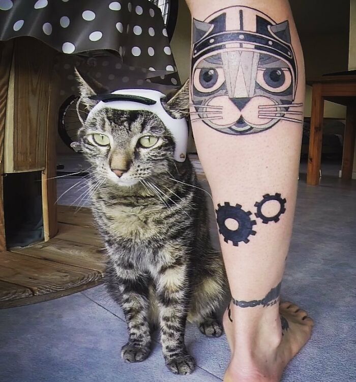 Owner Brings His Cat Everywhere And They Go On All Kinds Of Crazy Adventures Together (30 Pics)