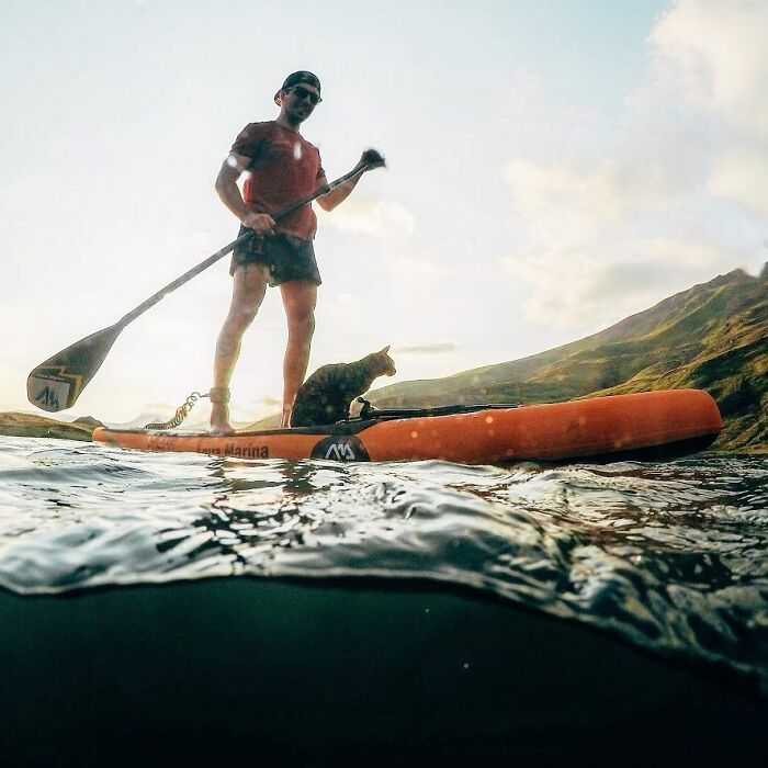 Owner Brings His Cat Everywhere And They Go On All Kinds Of Crazy Adventures Together (30 Pics)