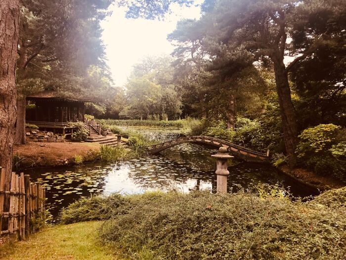 Hey Pandas, Show Me The Most Magical Or Unreal Photo On Your Camera Roll (Closed)