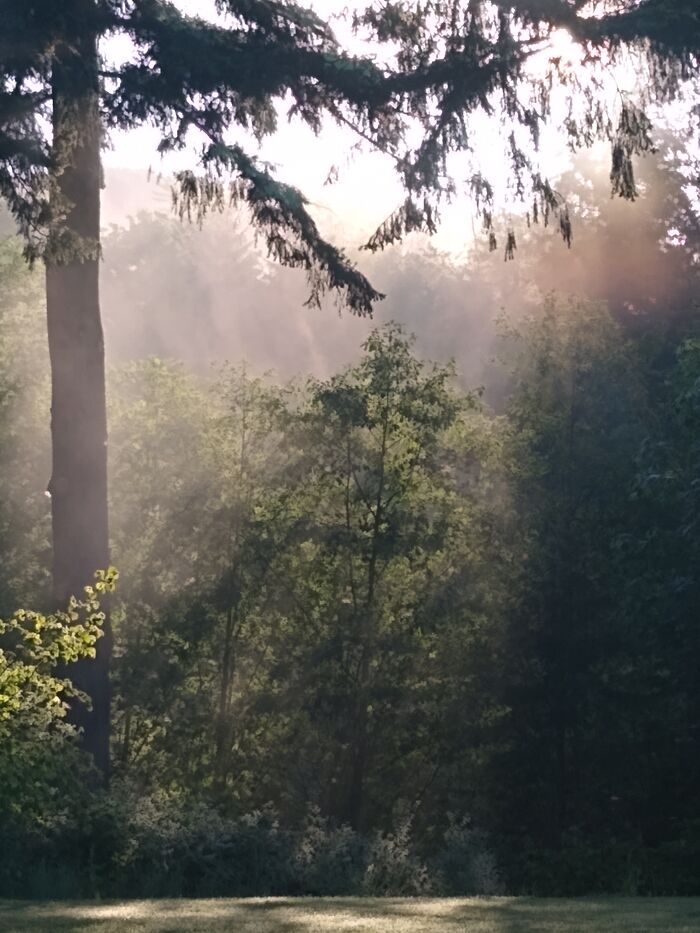 Hey Pandas, Show Me The Most Magical Or Unreal Photo On Your Camera Roll (Closed)