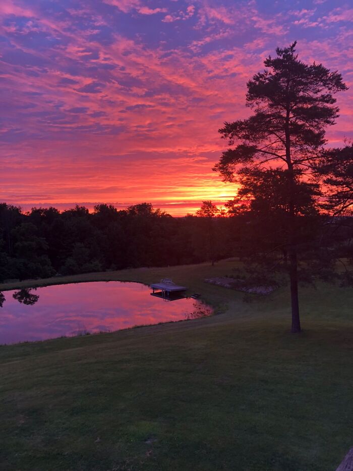 Hey Pandas, Show Me The Most Magical Or Unreal Photo On Your Camera Roll (Closed)