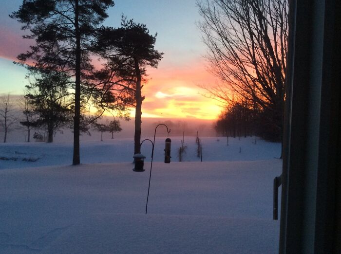 Hey Pandas, Show Me The Most Magical Or Unreal Photo On Your Camera Roll (Closed)