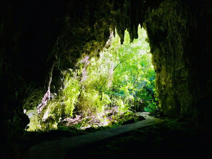 Hey Pandas, Show Me The Most Magical Or Unreal Photo On Your Camera Roll (Closed)