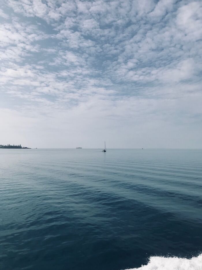 Hey Pandas, Show Me The Most Magical Or Unreal Photo On Your Camera Roll (Closed)