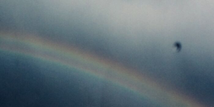 Hey Pandas, Show Me The Most Magical Or Unreal Photo On Your Camera Roll (Closed)