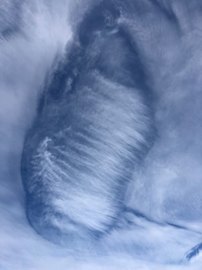 Hey Pandas, Show Me The Most Magical Or Unreal Photo On Your Camera Roll (Closed)