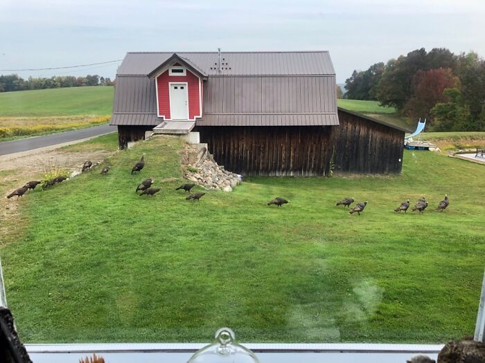 Hey Pandas, Show Me The Most Magical Or Unreal Photo On Your Camera Roll (Closed)