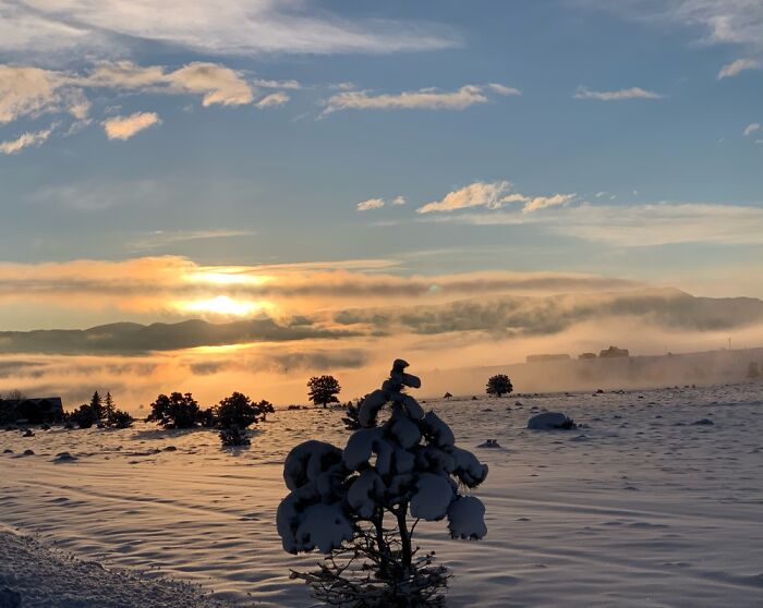 Hey Pandas, Show Me The Most Magical Or Unreal Photo On Your Camera Roll (Closed)