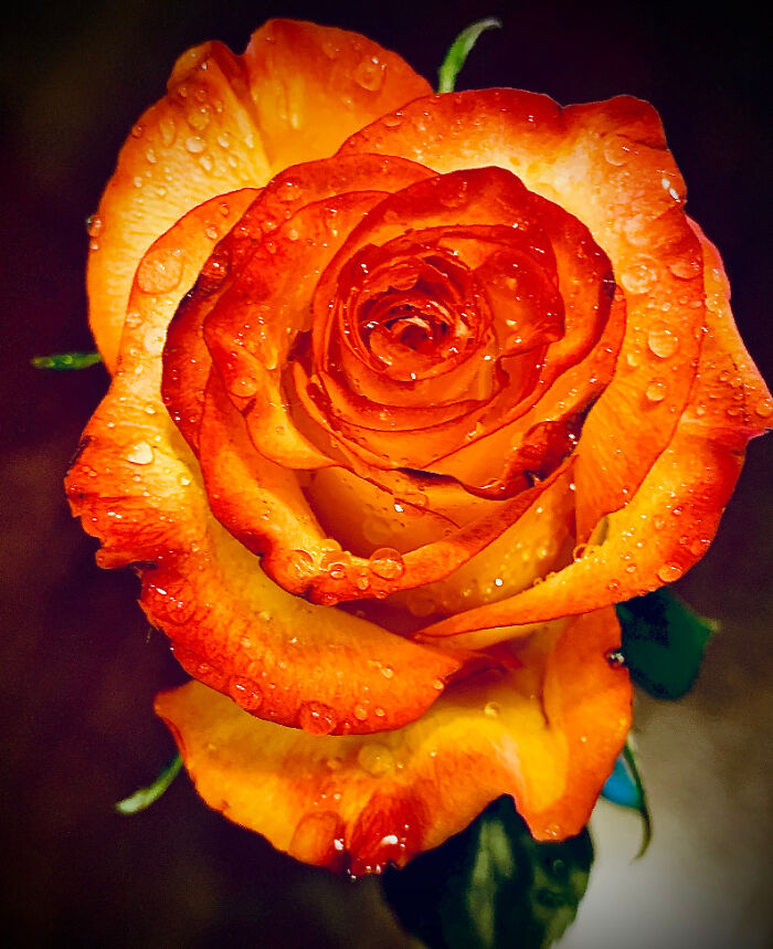 Hey Pandas, Show Me The Most Magical Or Unreal Photo On Your Camera Roll (Closed)