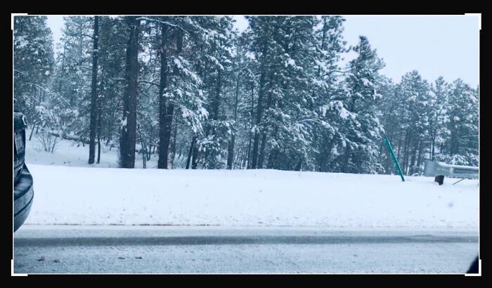 Hey Pandas, Show Me The Most Magical Or Unreal Photo On Your Camera Roll (Closed)