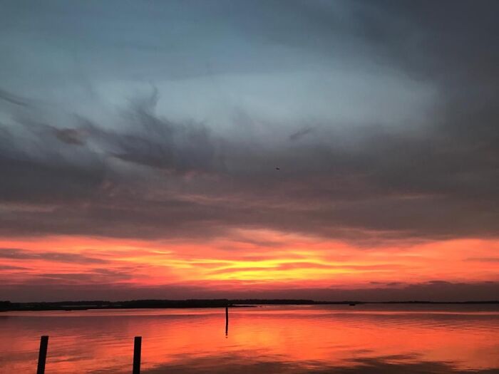 Hey Pandas, Show Me The Most Magical Or Unreal Photo On Your Camera Roll (Closed)