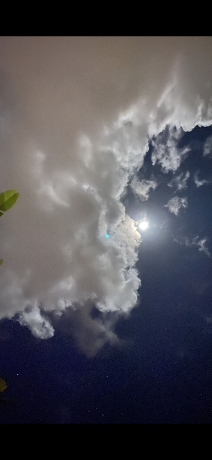 Hey Pandas, Show Me The Most Magical Or Unreal Photo On Your Camera Roll (Closed)