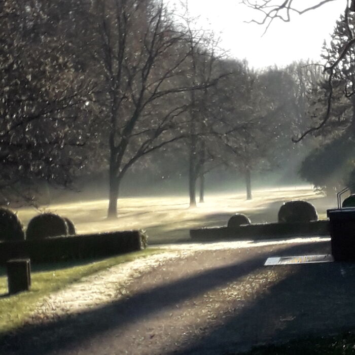 Hey Pandas, Show Me The Most Magical Or Unreal Photo On Your Camera Roll (Closed)