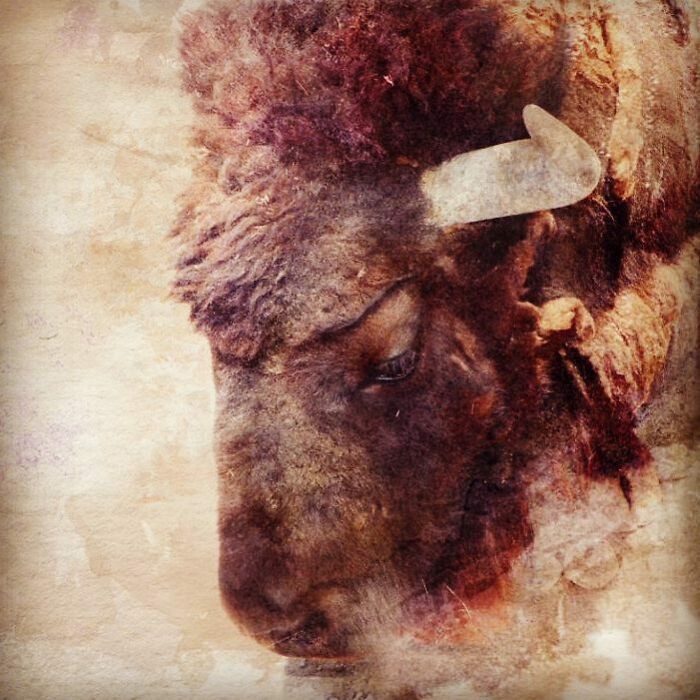 Hey Pandas, Show Me The Most Magical Or Unreal Photo On Your Camera Roll (Closed)