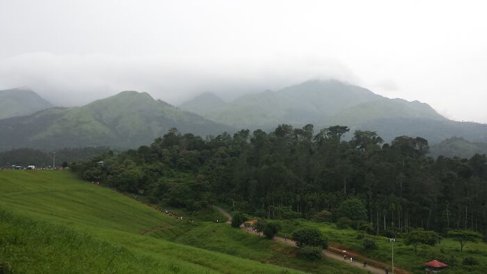 Hey Pandas, Show Me The Most Magical Or Unreal Photo On Your Camera Roll (Closed)