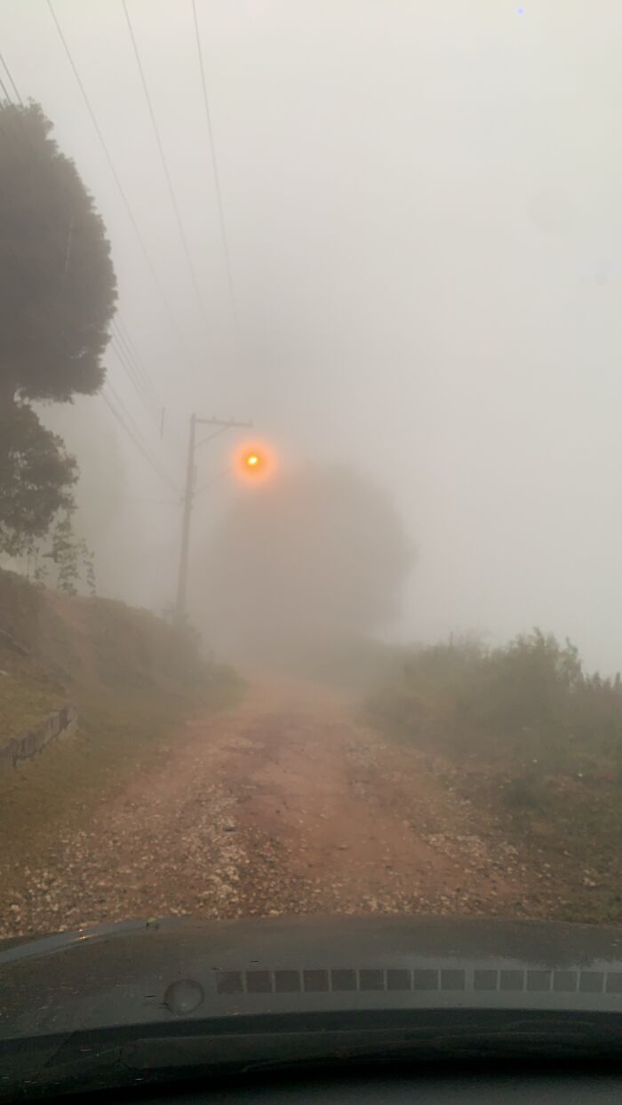 Hey Pandas, Show Me The Most Magical Or Unreal Photo On Your Camera Roll (Closed)