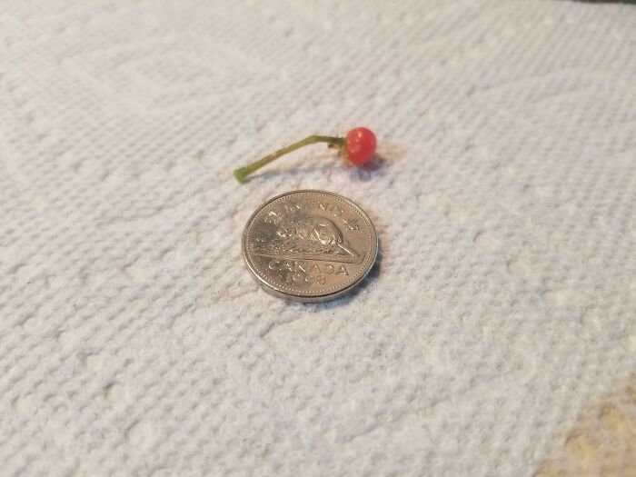 45 Confusing Posts That Are Funny And Sad At The Same Time 45 Confusing Posts That Are Funny And Sad At The Same Time