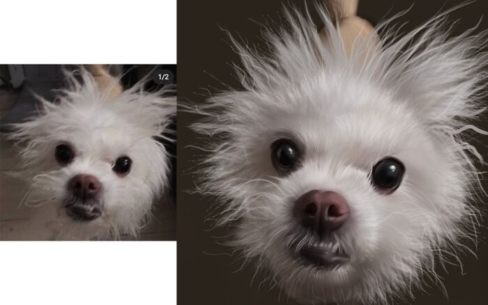 Hey Pandas, Draw Your Spirit Animal (Closed) Hey Pandas, Draw Your Spirit Animal (Closed)