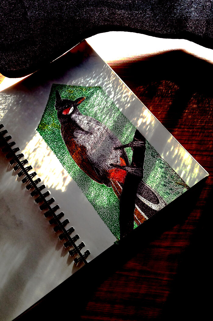 Hey Pandas, Draw Your Spirit Animal (Closed) Hey Pandas, Draw Your Spirit Animal (Closed)