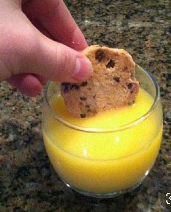 Hey Pandas, What Is The Funniest Thing On Your Camera Roll In The Past Month? (Closed)