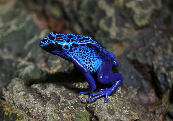 40 ‘Facts You Probably Didn’t Know That Could Save Your Life’ 40 ‘Facts You Probably Didn’t Know That Could Save Your Life’