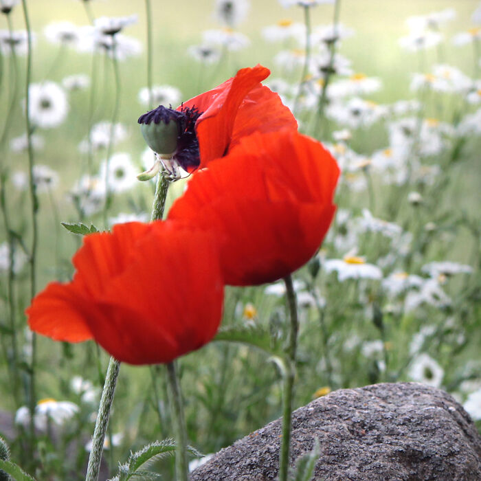 30 People In This Online Group Share Unexpected Features That Make Them 1% Of The Population 30 People In This Online Group Share Unexpected Features That Make Them 1% Of The Population