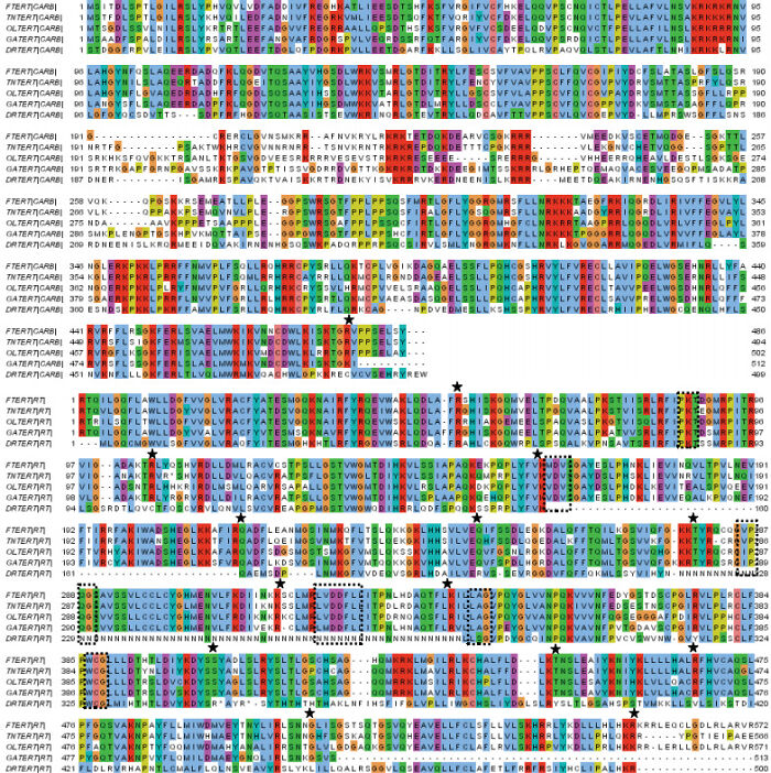 30 People In This Online Group Share Unexpected Features That Make Them 1% Of The Population 30 People In This Online Group Share Unexpected Features That Make Them 1% Of The Population