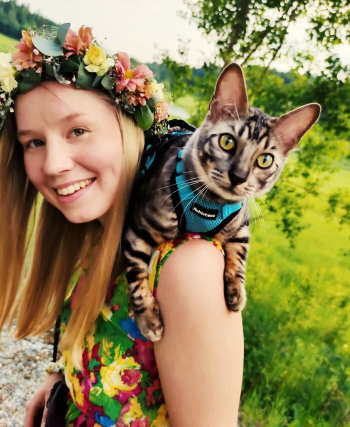 This Very Talented Cat Can Perform Over 50 Amazing Tricks This Very Talented Cat Can Perform Over 50 Amazing Tricks