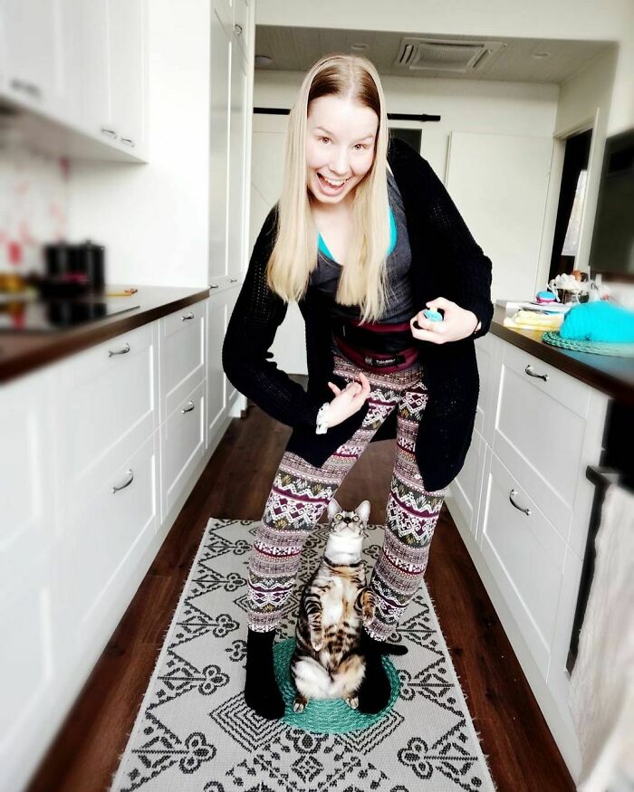 This Very Talented Cat Can Perform Over 50 Amazing Tricks This Very Talented Cat Can Perform Over 50 Amazing Tricks