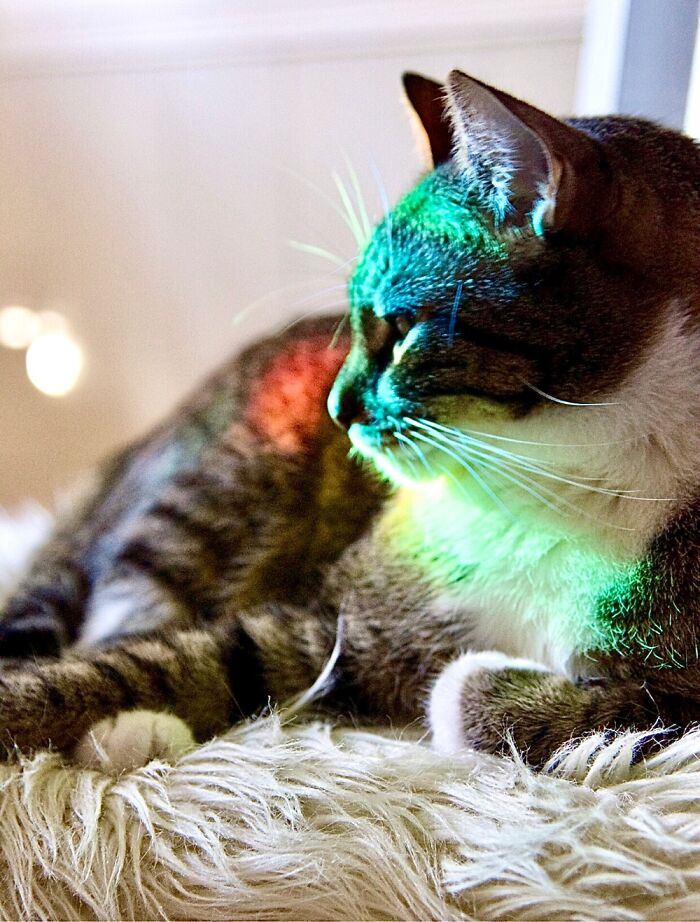 Pandas, What Is The Strangest Thing On Your Camera Roll? (Closed) Pandas, What Is The Strangest Thing On Your Camera Roll? (Closed)