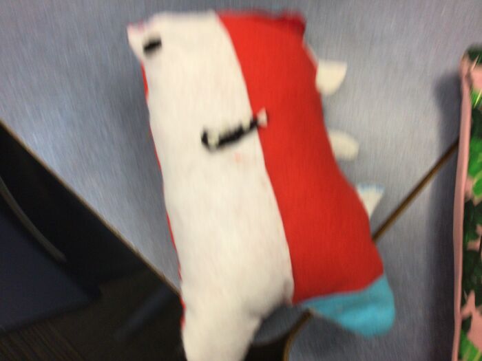 Pandas, What Is The Strangest Thing On Your Camera Roll? (Closed) Pandas, What Is The Strangest Thing On Your Camera Roll? (Closed)