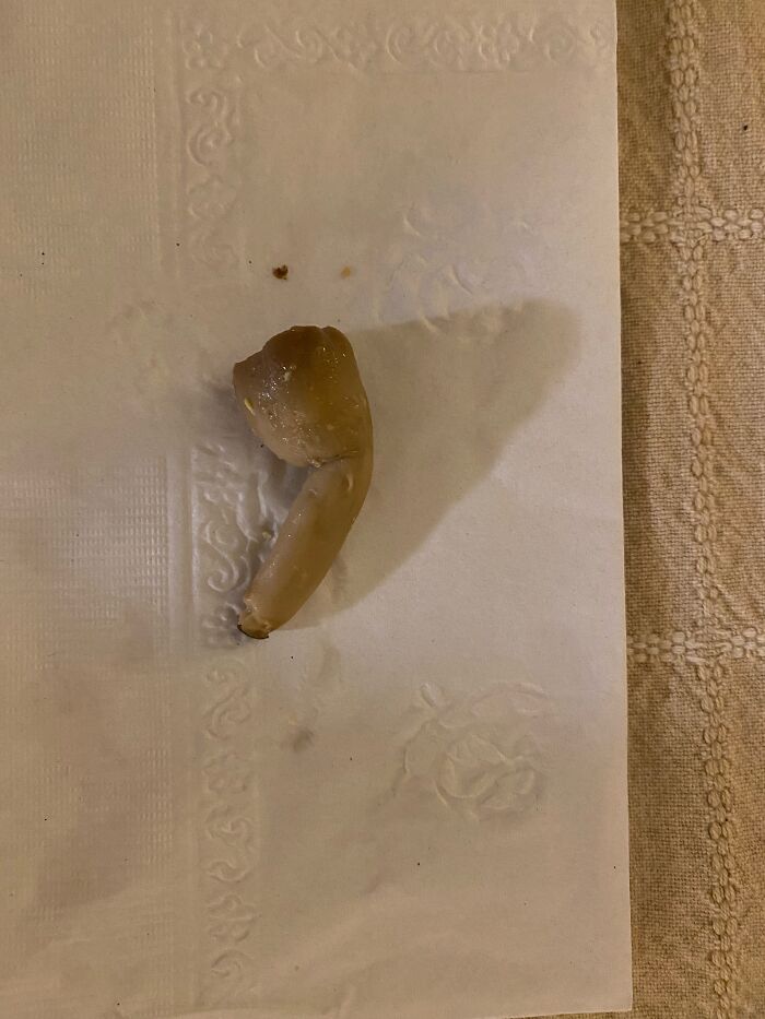 Pandas, What Is The Strangest Thing On Your Camera Roll? (Closed) Pandas, What Is The Strangest Thing On Your Camera Roll? (Closed)