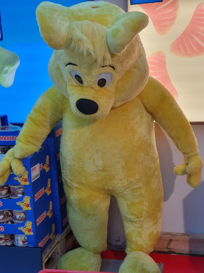 Pandas, What Is The Strangest Thing On Your Camera Roll? (Closed) Pandas, What Is The Strangest Thing On Your Camera Roll? (Closed)