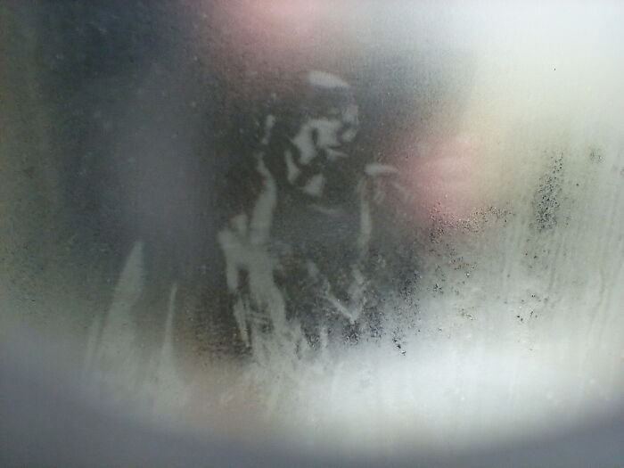 Pandas, What Is The Strangest Thing On Your Camera Roll? (Closed) Pandas, What Is The Strangest Thing On Your Camera Roll? (Closed)