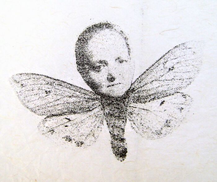 Pandas, What Is The Strangest Thing On Your Camera Roll? (Closed)