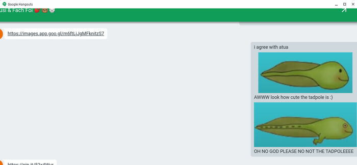 Pandas, What Is The Strangest Thing On Your Camera Roll? (Closed)