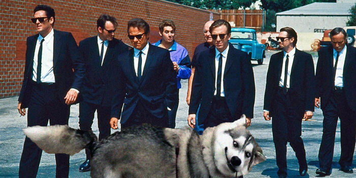 Hey Pandas, Photoshop This Dog Into A Movie Scene (Closed)