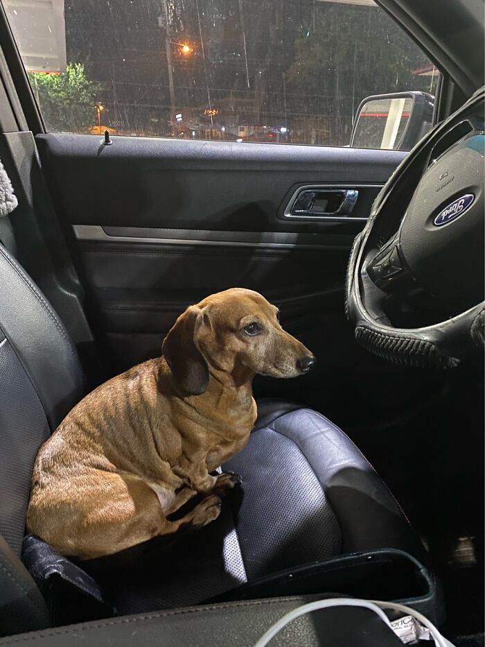 Hey Pandas, What’s That One Photo That Makes You Hysterical? Hey Pandas, What’s That One Photo That Makes You Hysterical?