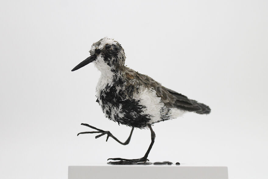 I’ve Created These Animal Sculptures To Show The Consequences Of Ocean Pollution I’ve Created These Animal Sculptures To Show The Consequences Of Ocean Pollution