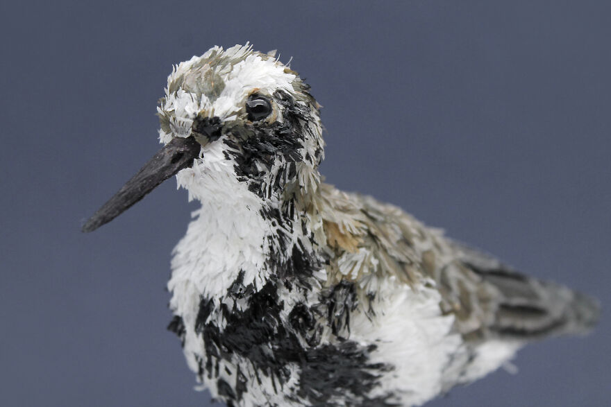 I’ve Created These Animal Sculptures To Show The Consequences Of Ocean Pollution I’ve Created These Animal Sculptures To Show The Consequences Of Ocean Pollution