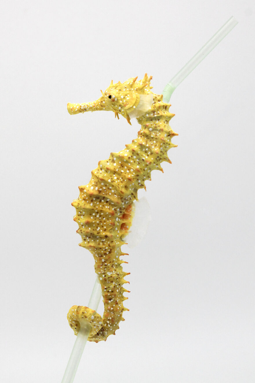 I’ve Created These Animal Sculptures To Show The Consequences Of Ocean Pollution I’ve Created These Animal Sculptures To Show The Consequences Of Ocean Pollution